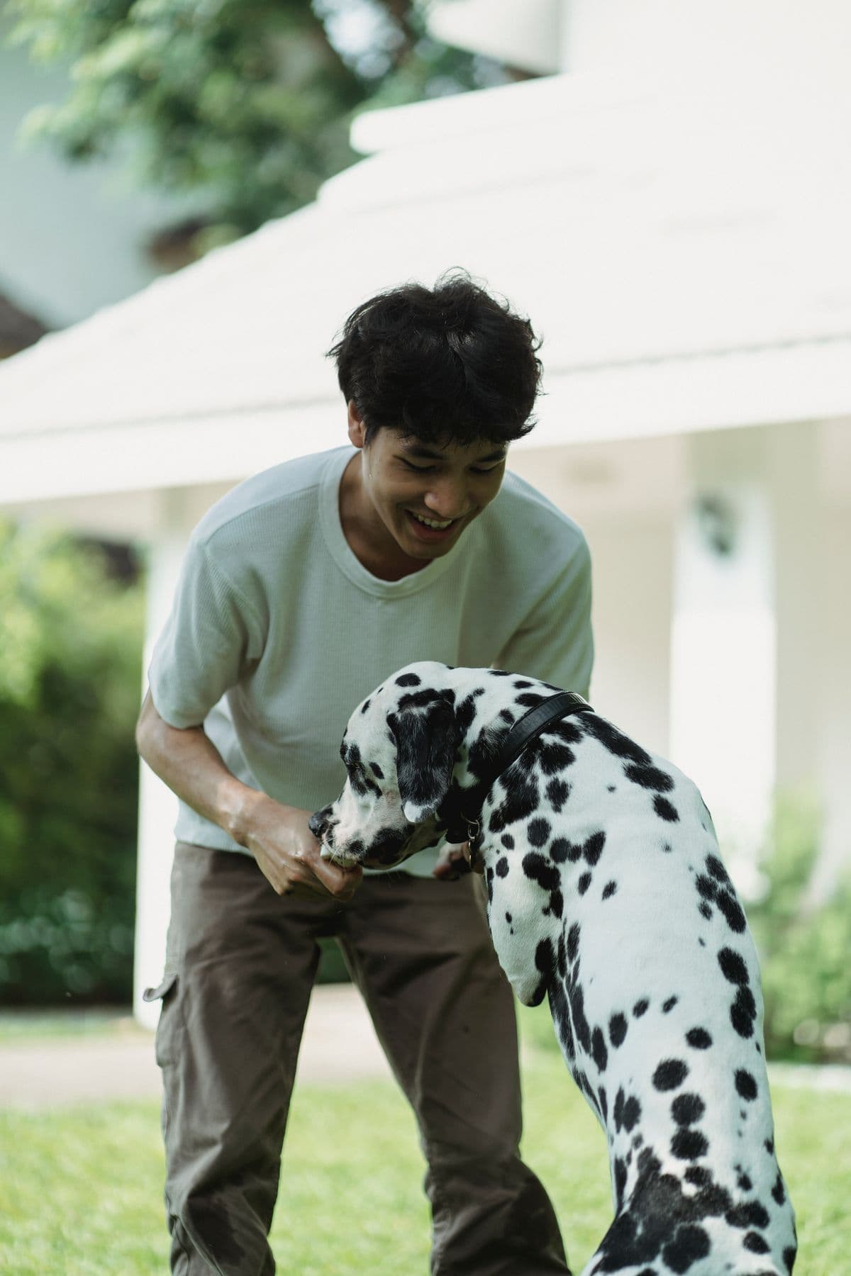 Mensch mit Hund